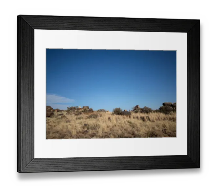 Framed Print : Bengal Tiger (Panthera tigris) white morph adult lying on rocks far away, captive Framed Print : Bengal Tiger (Panthera tigris) white morph adult lying on rocks far away, captive