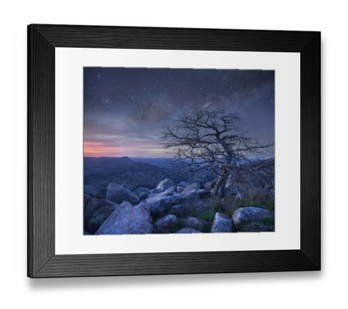 Framed Print : Pine (Pinus sp) tree at night, Mount Scott, Wichita Mountains National Wildlife Refuge Framed Print : Pine (Pinus sp) tree at night, Mount Scott, Wichita Mountains National Wildlife Refuge