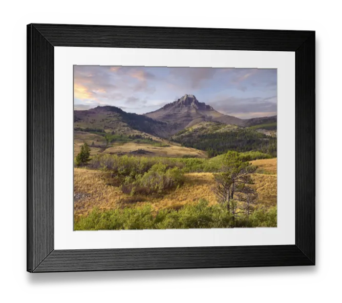 Framed Print : Mount Galwey, Waterton Lakes National Park, Canada Framed Print : Mount Galwey, Waterton Lakes National Park, Canada