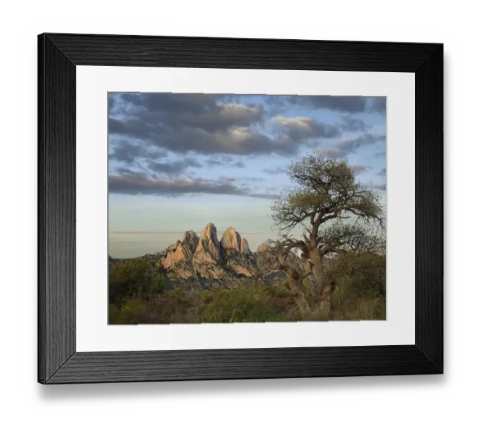 Framed Print : Organ Mountains near Las Cruces, New Mexico Framed Print : Organ Mountains near Las Cruces, New Mexico