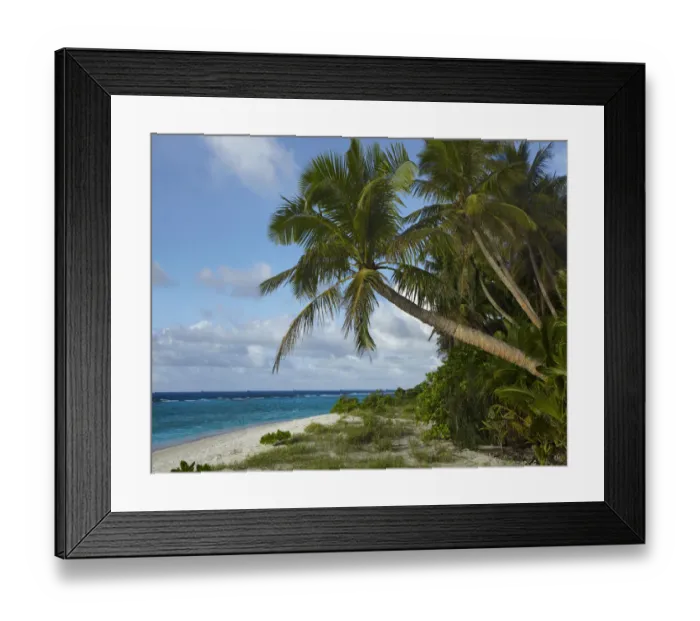 Framed Print : Palm trees on Ritidian Beach, Guam Framed Print : Palm trees on Ritidian Beach, Guam