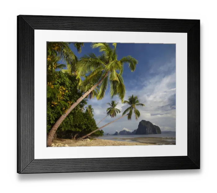 Framed Print : Palm trees, Pinagbuyutan Island, Palawan, Philippines Framed Print : Palm trees, Pinagbuyutan Island, Palawan, Philippines