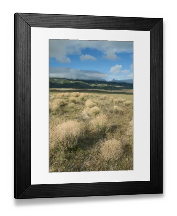Framed Print : Dried shrubs in late winter, Carrizo Plain National Monument, California Framed Print : Dried shrubs in late winter, Carrizo Plain National Monument, California