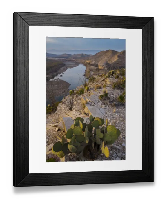 Framed Print : Cactus and Rio Grande, Big Bend National Park, Texas Framed Print : Cactus and Rio Grande, Big Bend National Park, Texas