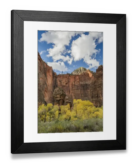 Framed Print : Trees in autumn, Zion National Park, Utah Framed Print : Trees in autumn, Zion National Park, Utah