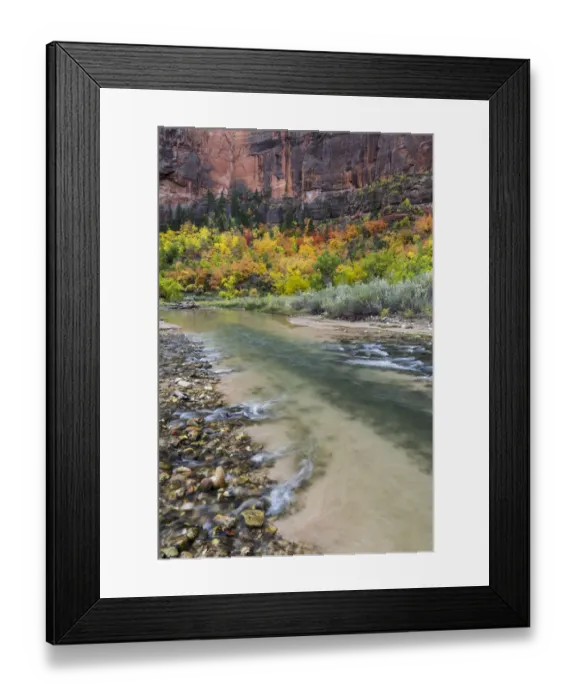Framed Print : Trees in autumn near river, Virgin River, Zion National Park, Utah Framed Print : Trees in autumn near river, Virgin River, Zion National Park, Utah