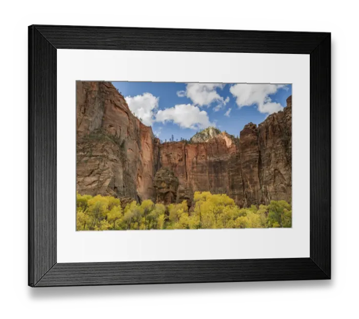 Framed Print : Trees in autumn, Zion National Park, Utah