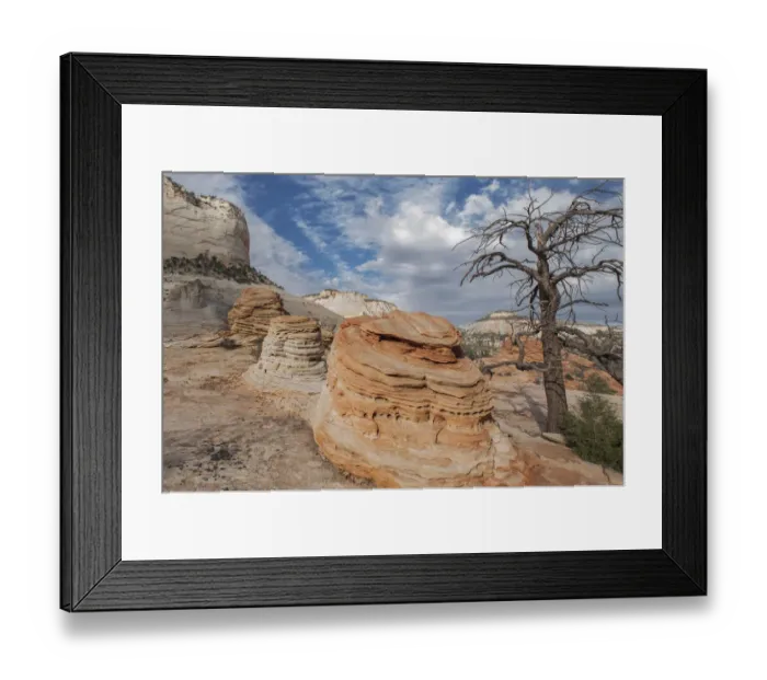 Framed Print : Sandstone pedestals, Zion National Park, Utah Framed Print : Sandstone pedestals, Zion National Park, Utah