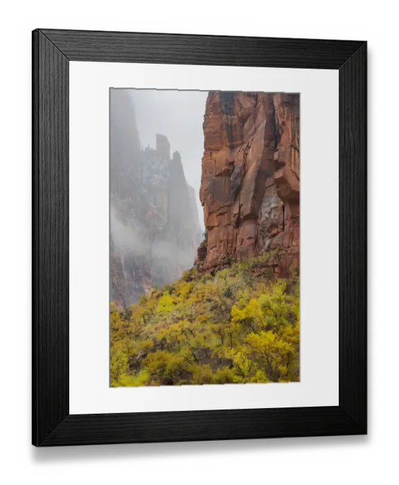 Framed Print : Snowstorm over trees in canyon, Zion National Park, Utah Framed Print : Snowstorm over trees in canyon, Zion National Park, Utah