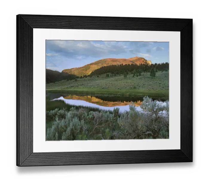Framed Print : Bunsen Peak, Yellowstone National Park, Wyoming Framed Print : Bunsen Peak, Yellowstone National Park, Wyoming