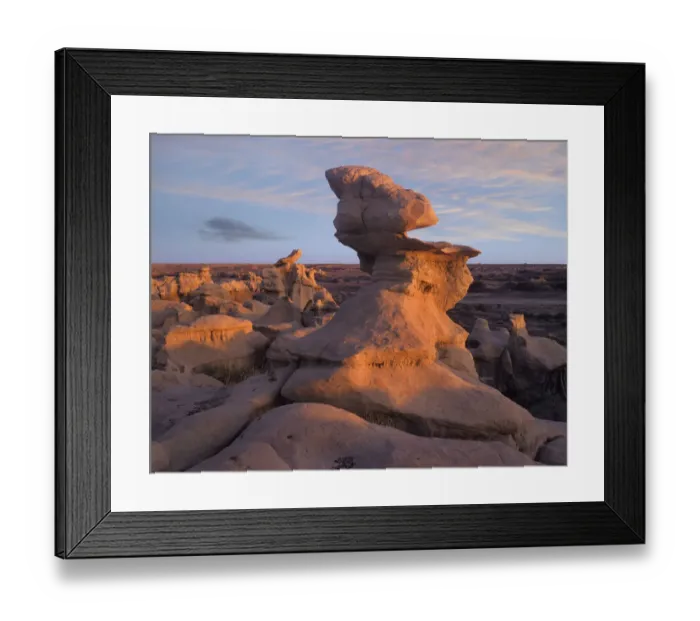 Framed Print : Rock formation, Bisti Badlands, Bisti Wilderness Area, New Mexico Framed Print : Rock formation, Bisti Badlands, Bisti Wilderness Area, New Mexico