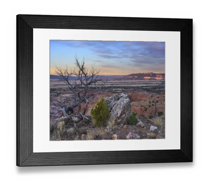 Framed Print : Dead tree and desert, Ghost Ranch, New Mexico Framed Print : Dead tree and desert, Ghost Ranch, New Mexico