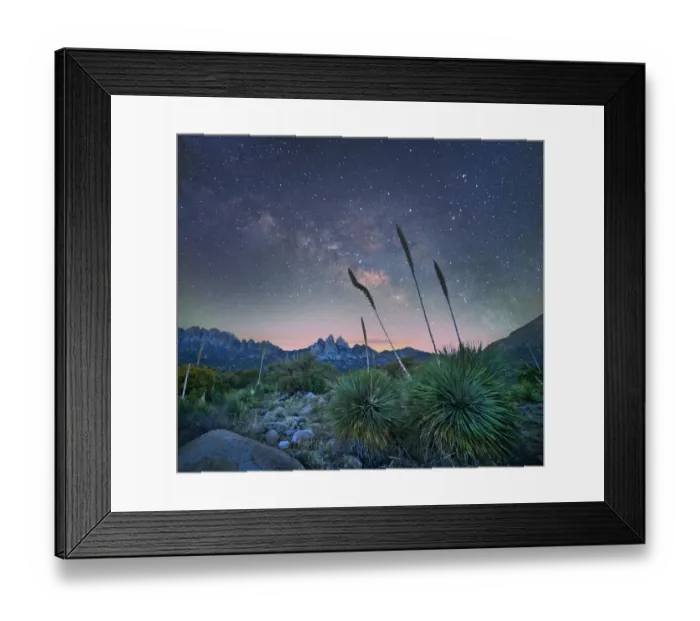 Framed Print : Agave (Agave sp) group at night, Organ Mountains-Desert Peaks National Monument, New Framed Print : Agave (Agave sp) group at night, Organ Mountains-Desert Peaks National Monument, New