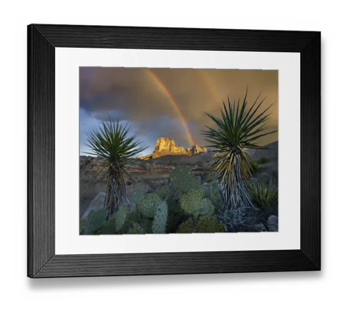 Framed Print : Yucca (Yucca sp) plants with rainbow over mountain, El Capitan, Guadalupe Mountains National Park