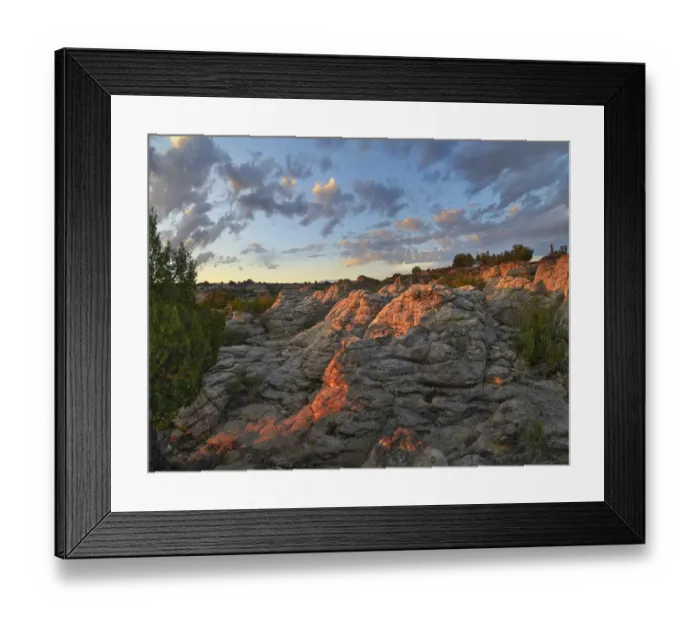 Framed Print : The Rock Garden, Clayton Lake State Park, New Mexico
