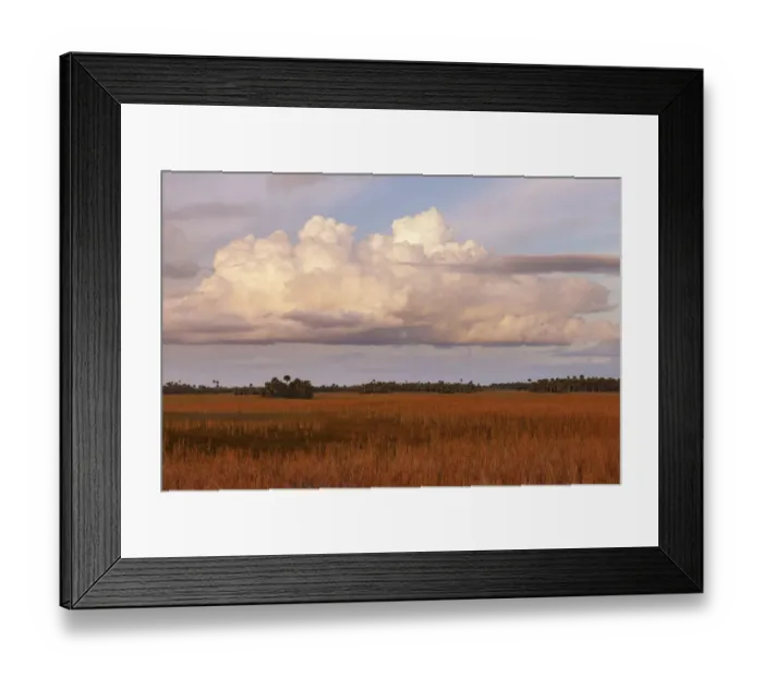 Framed Print : Swamp grassland at sunset, Big Cypress National Preserve, Florida Framed Print : Swamp grassland at sunset, Big Cypress National Preserve, Florida