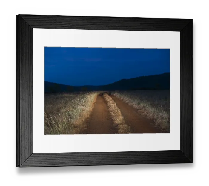 Framed Print : Dirt road in savanna at dusk, Rupununi, Guyana Framed Print : Dirt road in savanna at dusk, Rupununi, Guyana