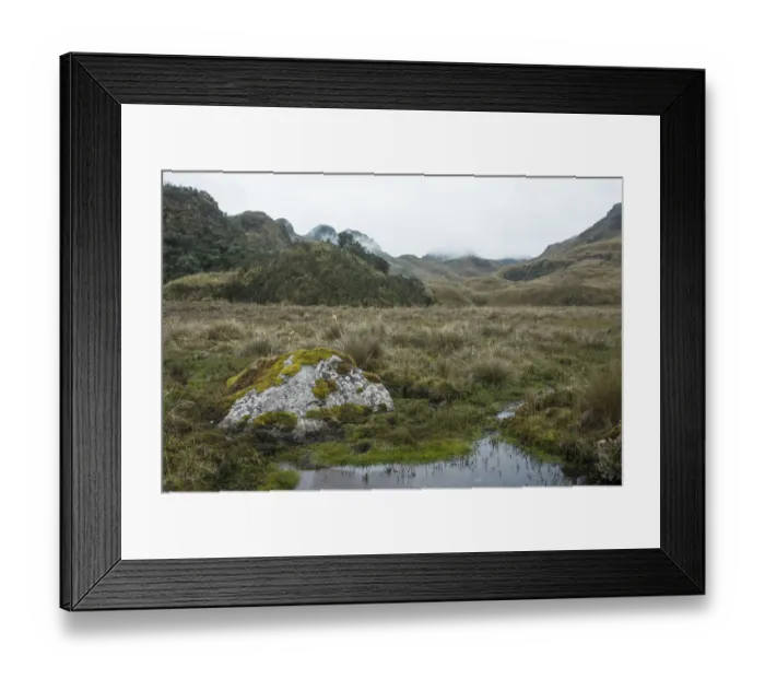 Framed Print : Paramo, Cayambe Coca Ecological Reserve, Ecuador Framed Print : Paramo, Cayambe Coca Ecological Reserve, Ecuador