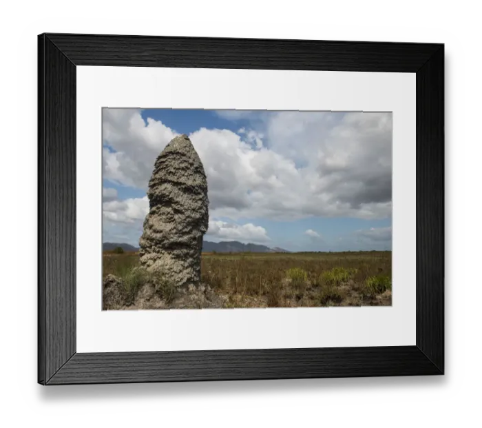 Framed Print : Termite mound on savanna, Rupununi, Guyana Framed Print : Termite mound on savanna, Rupununi, Guyana
