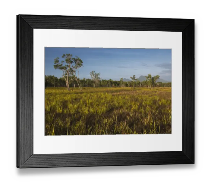 Framed Print : Savanna landscape, Rupununi, Guyana Framed Print : Savanna landscape, Rupununi, Guyana