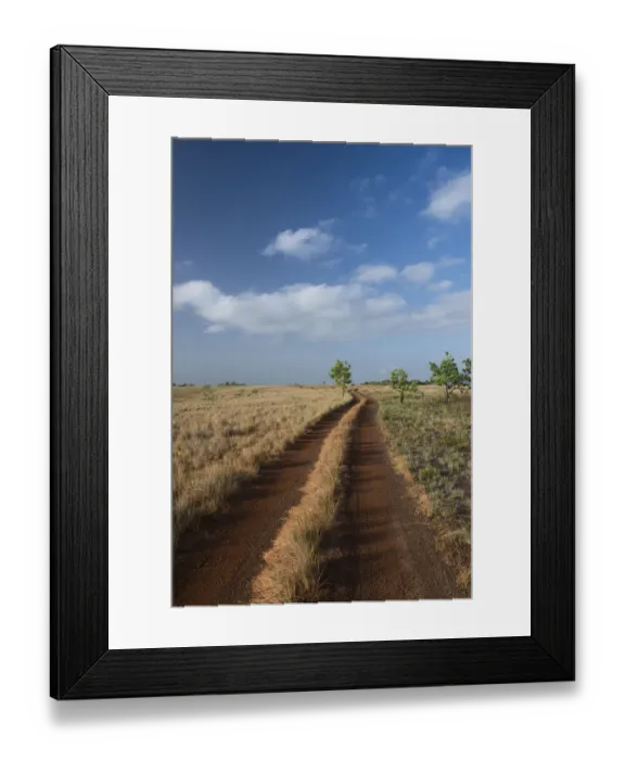 Framed Print : Dirt road on savanna, Rupununi, Guyana Framed Print : Dirt road on savanna, Rupununi, Guyana
