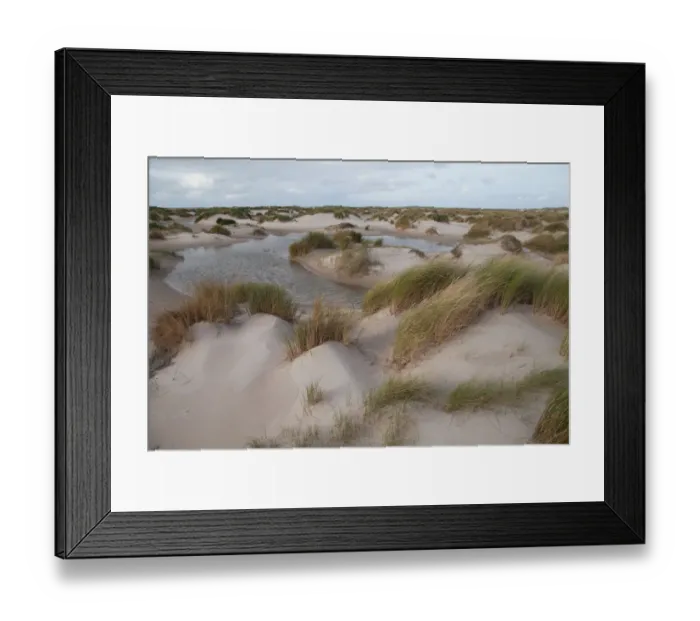 Framed Print : Dune landscape of hors, Hors, Noord-Holland, Netherlands Framed Print : Dune landscape of hors, Hors, Noord-Holland, Netherlands
