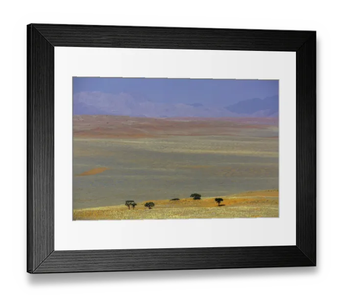 Framed Print : trees standing on the hill, Namibia Framed Print : trees standing on the hill, Namibia