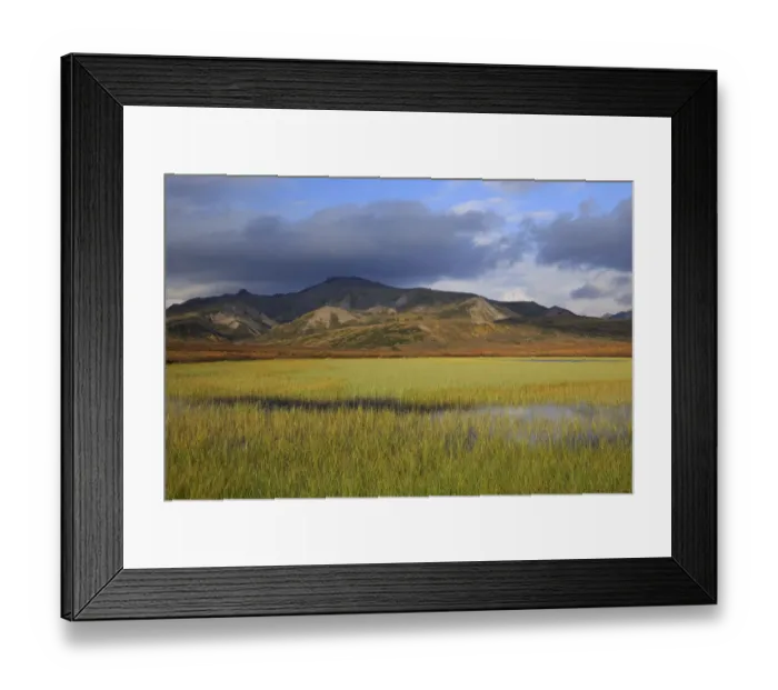 Framed Print : Tundra pond, Denali National Park and Preserve, Alaska, United States Framed Print : Tundra pond, Denali National Park and Preserve, Alaska, United States