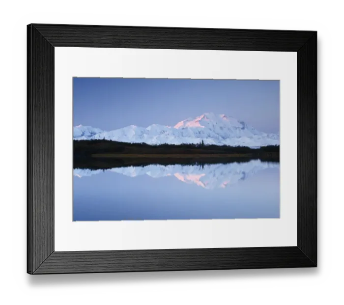 Framed Print : Denali reflected in Reflection Pond at sunrise, Denali National Park and Preserve Framed Print : Denali reflected in Reflection Pond at sunrise, Denali National Park and Preserve