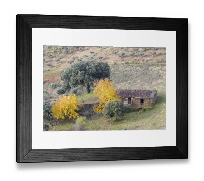 Framed Print : View on an old farmers shed at an olive grove, Extremadura, Spain, Extremadura, Spain Framed Print : View on an old farmers shed at an olive grove, Extremadura, Spain, Extremadura, Spain