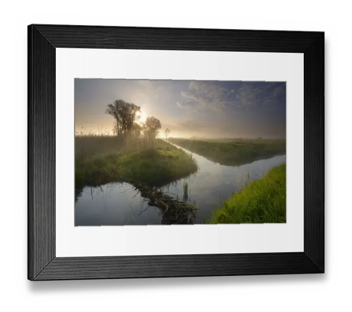 Framed Print : Two ditches are crossing with a beaver (Castor fiber)dam, in early morning light, Marta Mouth NP