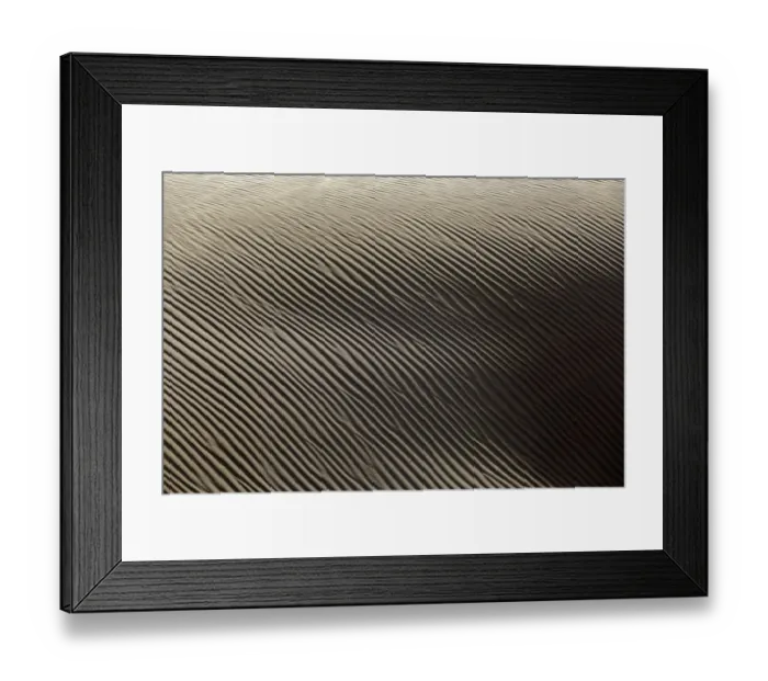 Framed Print : Shapes in the sand, Namibia Framed Print : Shapes in the sand, Namibia