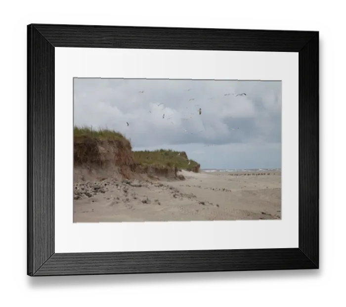 Framed Print : Coastal landscape, Rottum, Friesland, The Netherlands Framed Print : Coastal landscape, Rottum, Friesland, The Netherlands