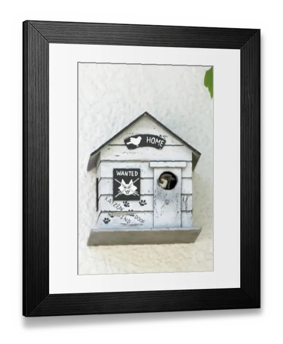 Framed Print : Eurasian Tree Sparrow (Passer montanus) at nest box entrance, Bursfelde, Lower Saxony Framed Print : Eurasian Tree Sparrow (Passer montanus) at nest box entrance, Bursfelde, Lower Saxony