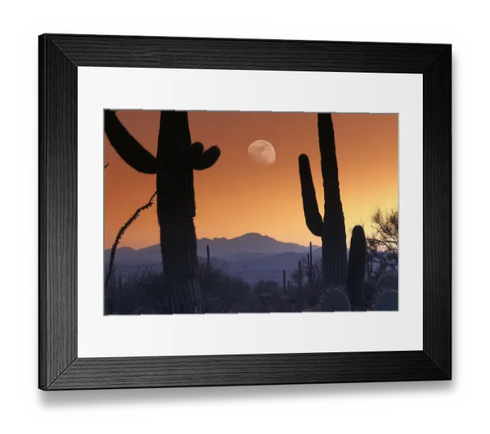 Framed Print : Kitt Peak under moon from Saguaro National Monument, Arizona Framed Print : Kitt Peak under moon from Saguaro National Monument, Arizona