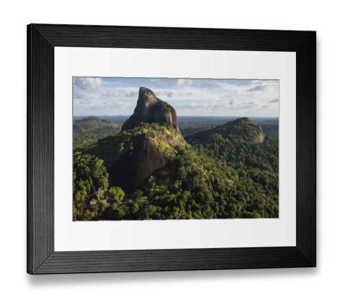 Framed Print : Bottle Mountain rising out of rainforest, Rupununi, Guyana Framed Print : Bottle Mountain rising out of rainforest, Rupununi, Guyana