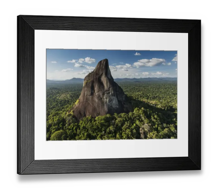 Framed Print : Bottle Mountain rising out of rainforest, Rupununi, Guyana Framed Print : Bottle Mountain rising out of rainforest, Rupununi, Guyana