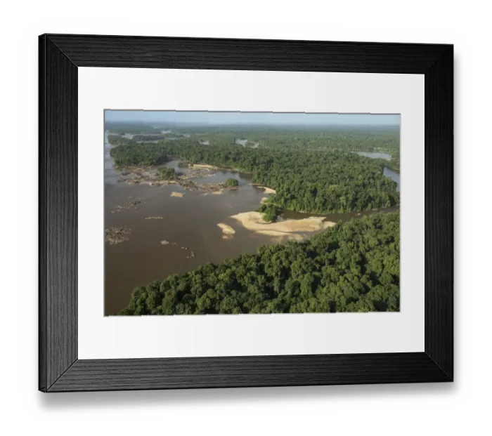 Framed Print : Essequibo River in rainforest, Guyana Framed Print : Essequibo River in rainforest, Guyana