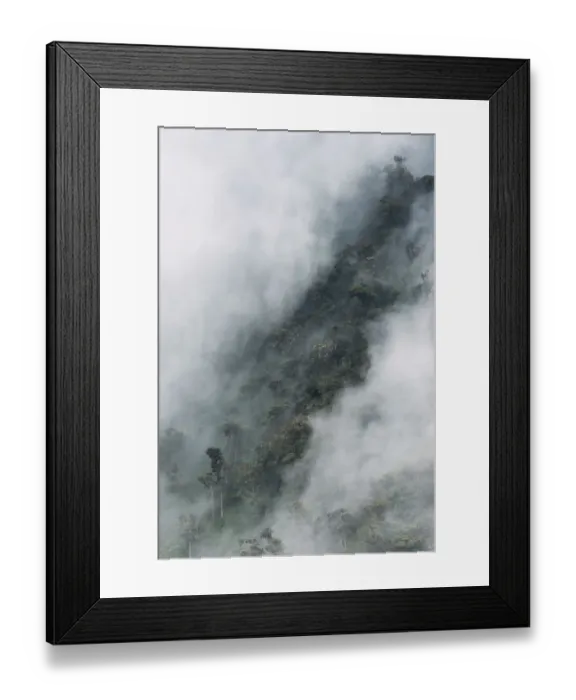 Framed Print : Cloud forest canopy, Andes, Ecuador Framed Print : Cloud forest canopy, Andes, Ecuador