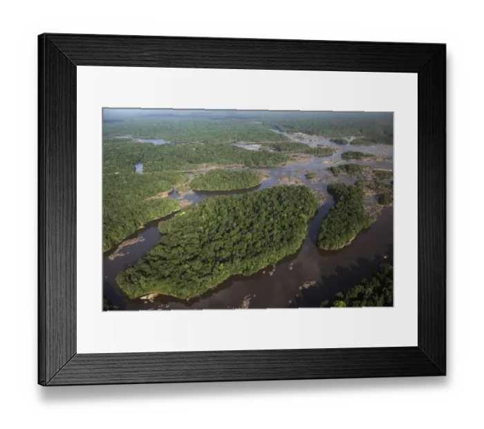 Framed Print : Essequibo River in rainforest, Guyana Framed Print : Essequibo River in rainforest, Guyana