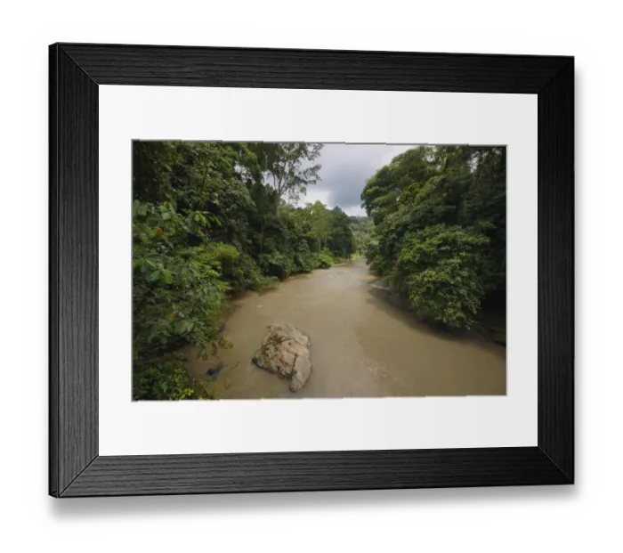 Framed Print : Sediment-laden river, Danum Valley, Malaysia