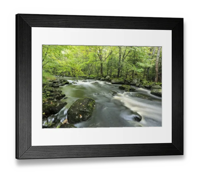 Framed Print : Mickey Hill Creek flowing through deciduous forest, Nova Scotia, Canada Framed Print : Mickey Hill Creek flowing through deciduous forest, Nova Scotia, Canada