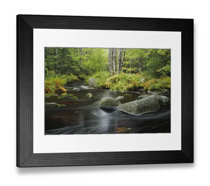 Framed Print : Upper Bear River in early autumn, Nova Scotia, Canada Framed Print : Upper Bear River in early autumn, Nova Scotia, Canada
