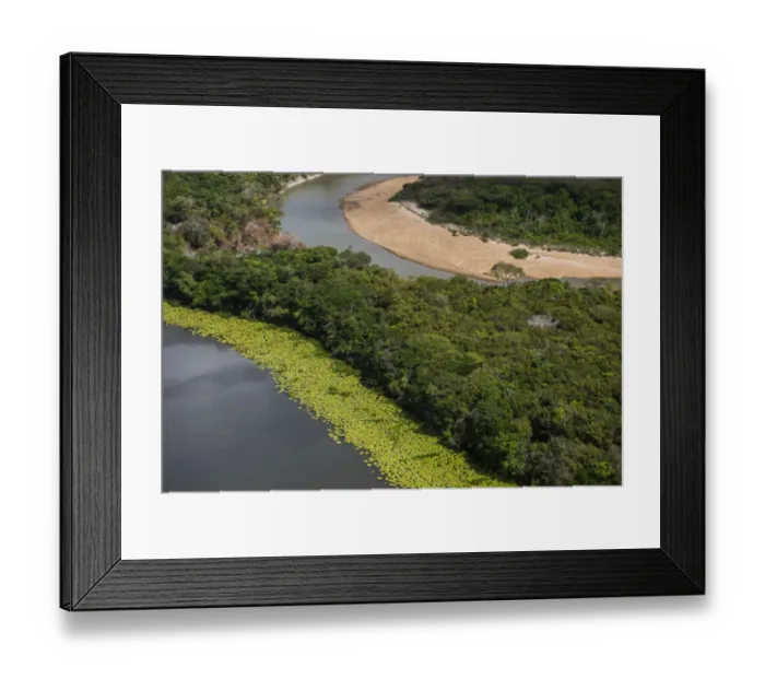 Framed Print : Rupununi River flowing through rainforest, Rupununi, Guyana Framed Print : Rupununi River flowing through rainforest, Rupununi, Guyana