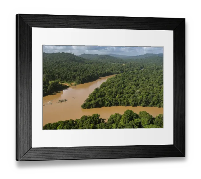 Framed Print : Silted river in rainforest, Cuyuni River, Guyana Framed Print : Silted river in rainforest, Cuyuni River, Guyana