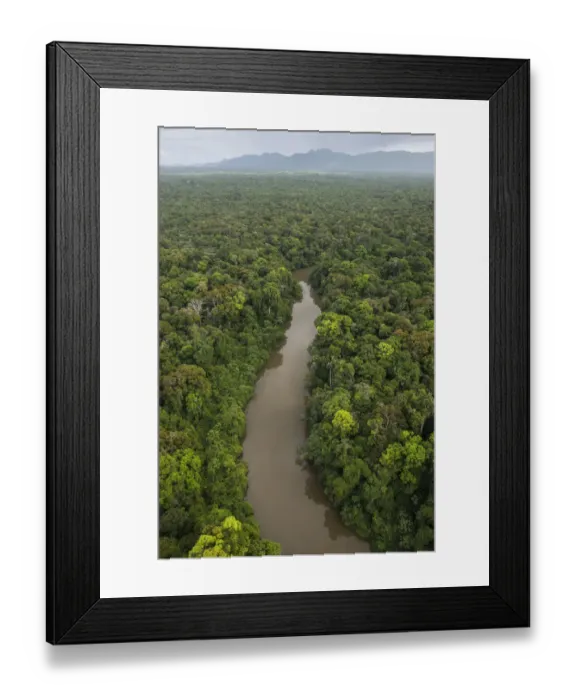 Framed Print : River in rainforest, Rupununi River, Rupununi, Guyana Framed Print : River in rainforest, Rupununi River, Rupununi, Guyana