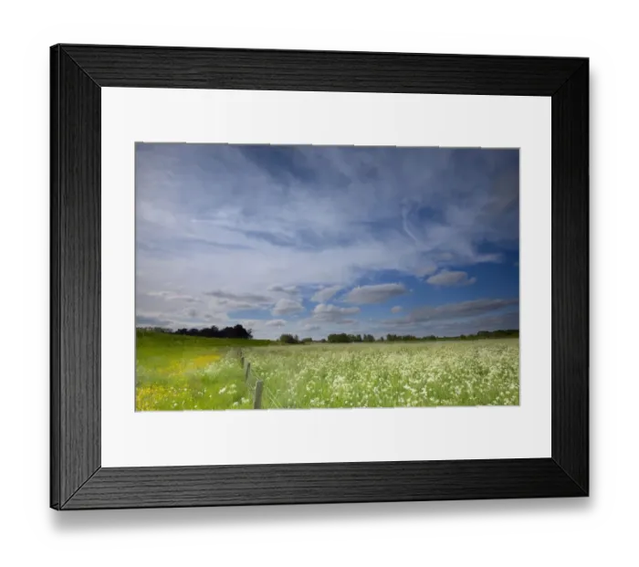 Framed Print : Overview of floodplains covered with Cow Parsley (Anthriscus sylvestris) with a dike Framed Print : Overview of floodplains covered with Cow Parsley (Anthriscus sylvestris) with a dike