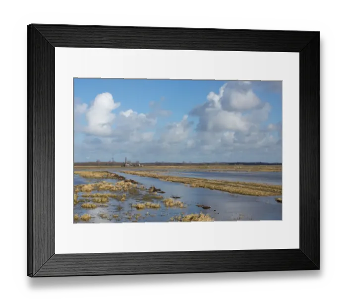 Framed Print : polder Arkemheen in late winter, polder Arkemheen, The Netherlands Framed Print : polder Arkemheen in late winter, polder Arkemheen, The Netherlands