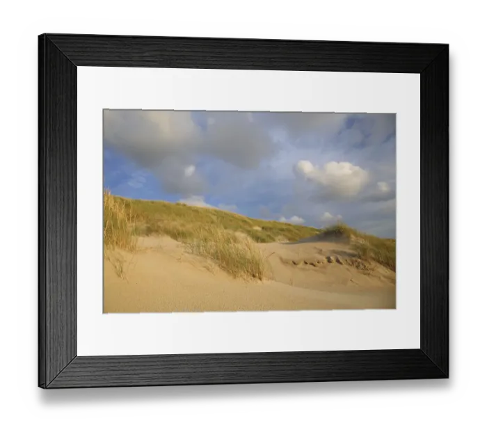 Framed Print : Dunes at the Dutch coast under a sky full with clouds, The Netherlands, Noord-Holland Framed Print : Dunes at the Dutch coast under a sky full with clouds, The Netherlands, Noord-Holland