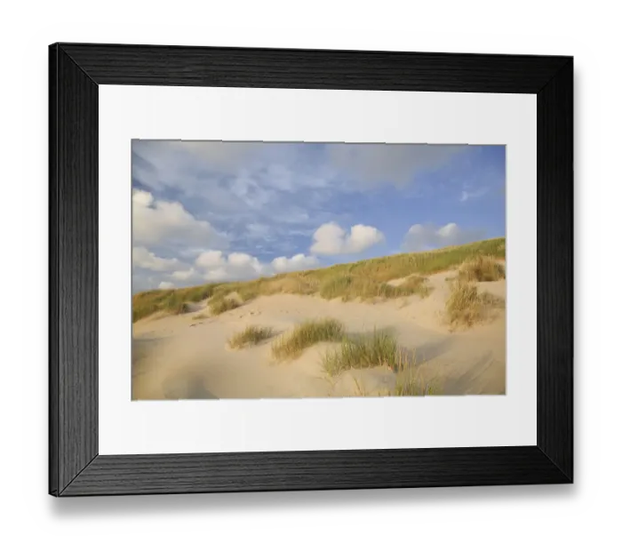 Framed Print : Dunes at the Dutch coast under a sky full with clouds, The Netherlands, Noord-Holland Framed Print : Dunes at the Dutch coast under a sky full with clouds, The Netherlands, Noord-Holland